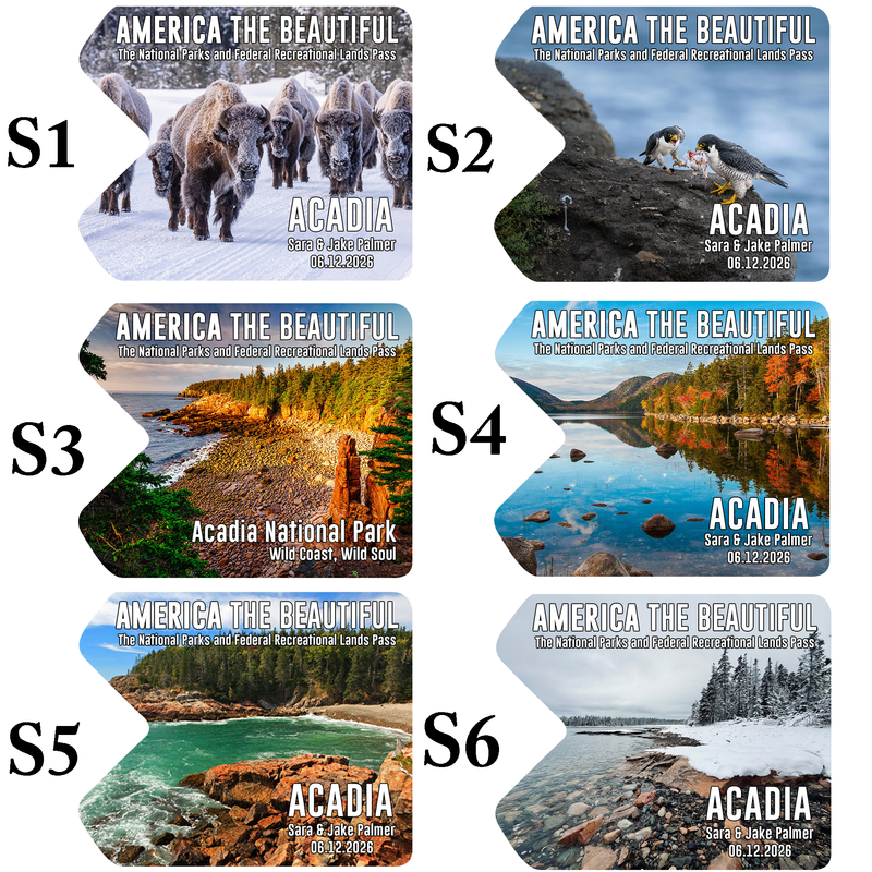 Acadia National Park Pass Sleeve - America The Beautiful Pass Protector - Hiker Gifts - National Park Pass Sleeve