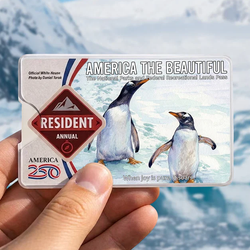 National Park Pass Sleeve Animal Wildlife Card - America The Beautiful Pass Protector - America The Beautiful Card Cover - Gift for Nature Lovers