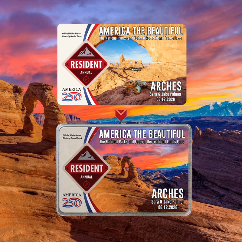 Protect Our Parks National Park Pass Sleeve | America The Beautiful Pass Protector | Hiker Gifts
