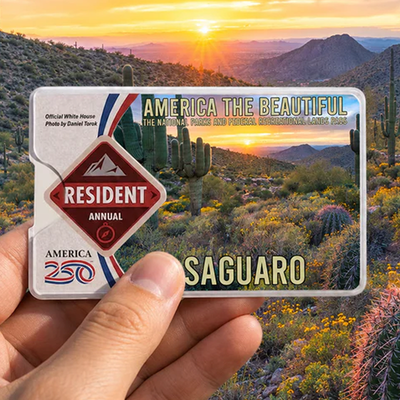 National Park Pass Sleeve - America The Beautiful Card Cover - Gift for Nature Lovers