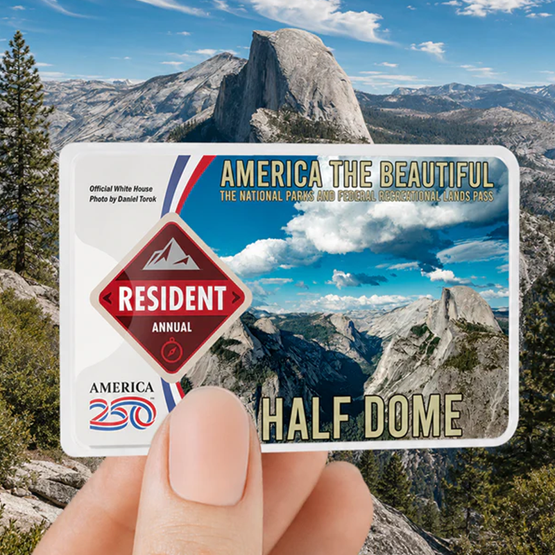 National Park Pass Sleeve - America The Beautiful Card Cover - Gift for Nature Lovers