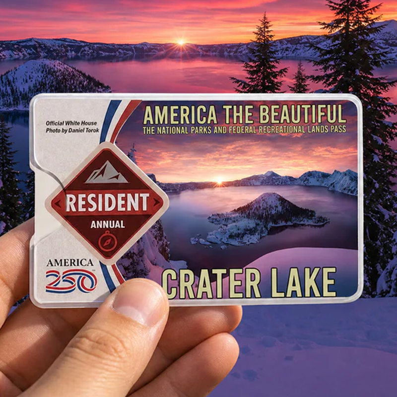 National Park Pass Sleeve - America The Beautiful Card Cover - Gift for Nature Lovers