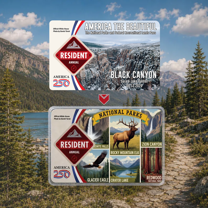 National Park Card Sleeve USA 250th - America The Beautiful Pass Protector - Hiker Gifts