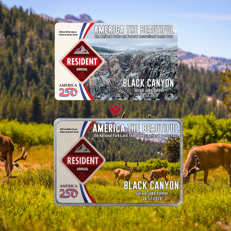 Black Canyon Card Sleeve National Park - Hiker Gifts - National Park Pass Sleeve - America The Beautiful Card Cover