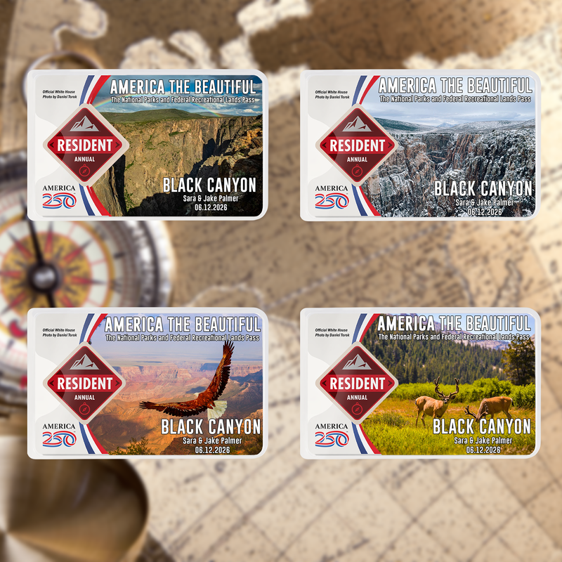 Black Canyon Card Sleeve National Park - Hiker Gifts - National Park Pass Sleeve - America The Beautiful Card Cover