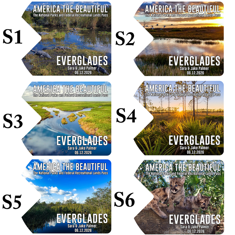 Everglades Card Sleeve - National Park Pass Sleeve - America The Beautiful Card Cover - Protect Our Parks