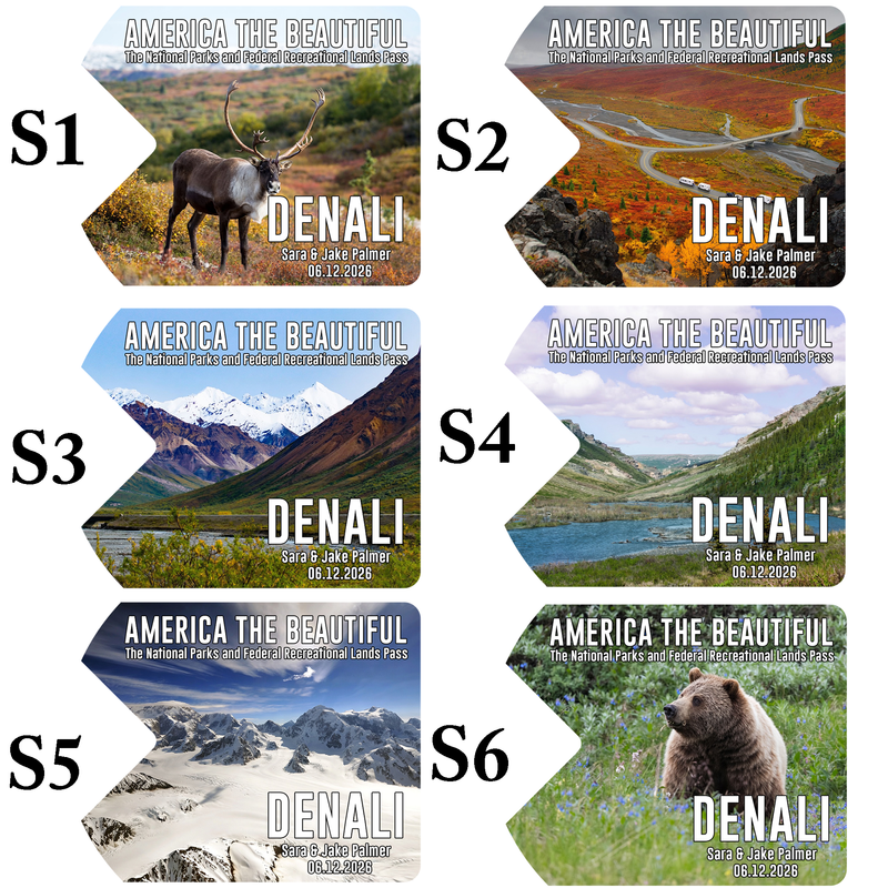 Denali Card Sleeve National Park - America The Beautiful Pass Protector - Gift for Nature Lovers