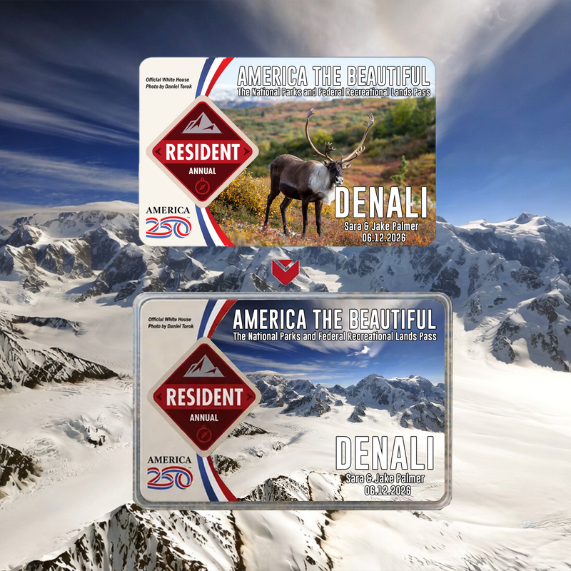 Denali Card Sleeve National Park - America The Beautiful Pass Protector - Gift for Nature Lovers