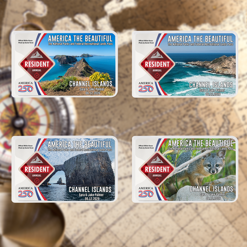 Channel Islands Card Sleeve - National Park Pass Sleeve - America The Beautiful Card Cover - Gift for Nature Lover - Protect Our Parks
