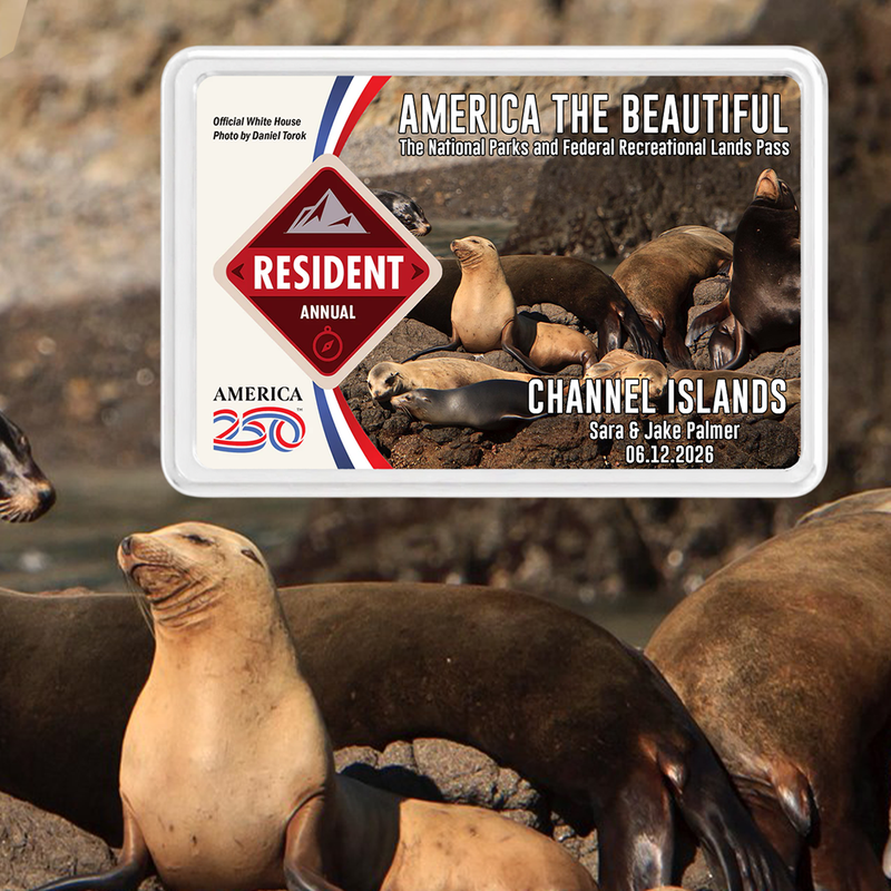 Channel Islands Card Sleeve - National Park Pass Sleeve - America The Beautiful Card Cover - Gift for Nature Lover - Protect Our Parks