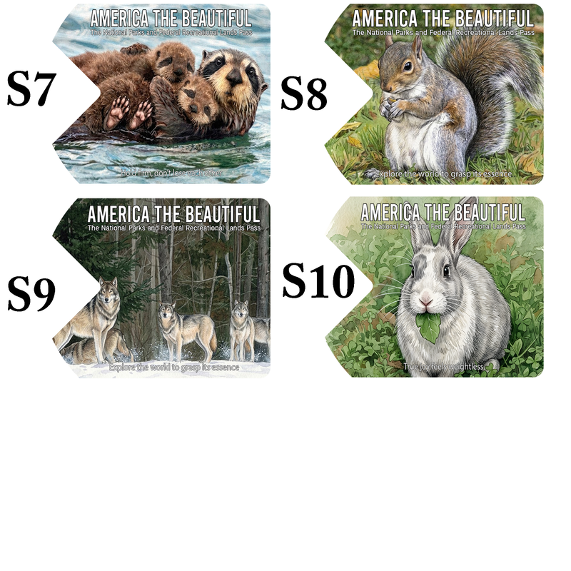 National Park Pass Sleeve Animal Wildlife Card - America The Beautiful Pass Protector - America The Beautiful Card Cover - Gift for Nature Lovers