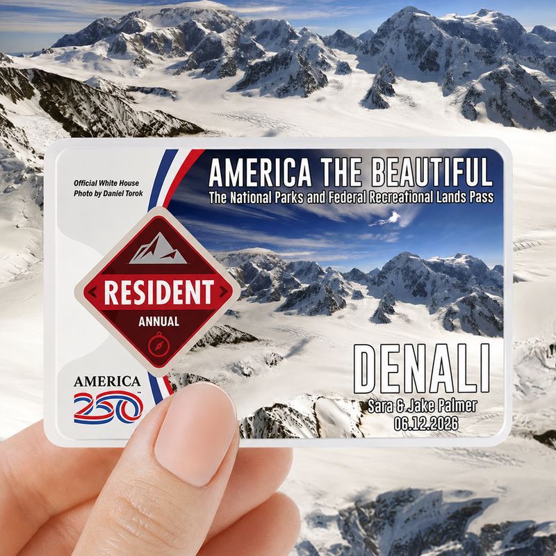 Denali Card Sleeve National Park - America The Beautiful Pass Protector - Gift for Nature Lovers
