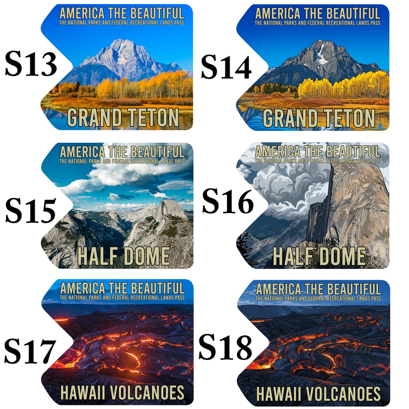 National Park Pass Sleeve - America The Beautiful Card Cover - Gift for Nature Lovers