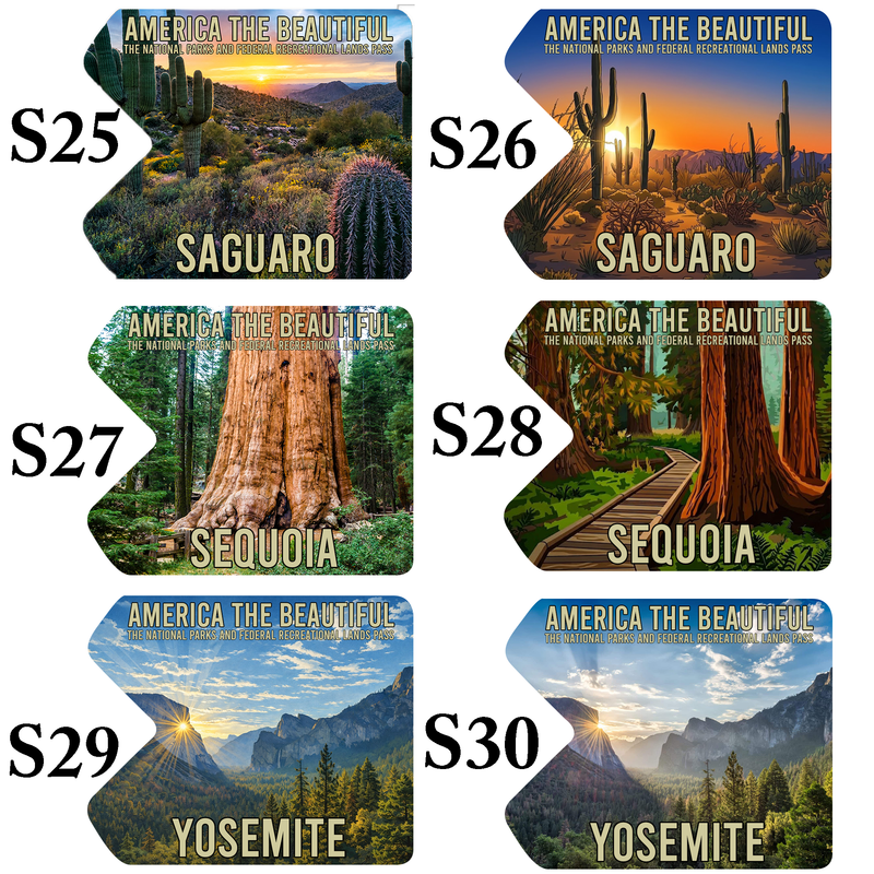 National Park Pass Sleeve - America The Beautiful Card Cover - Gift for Nature Lovers