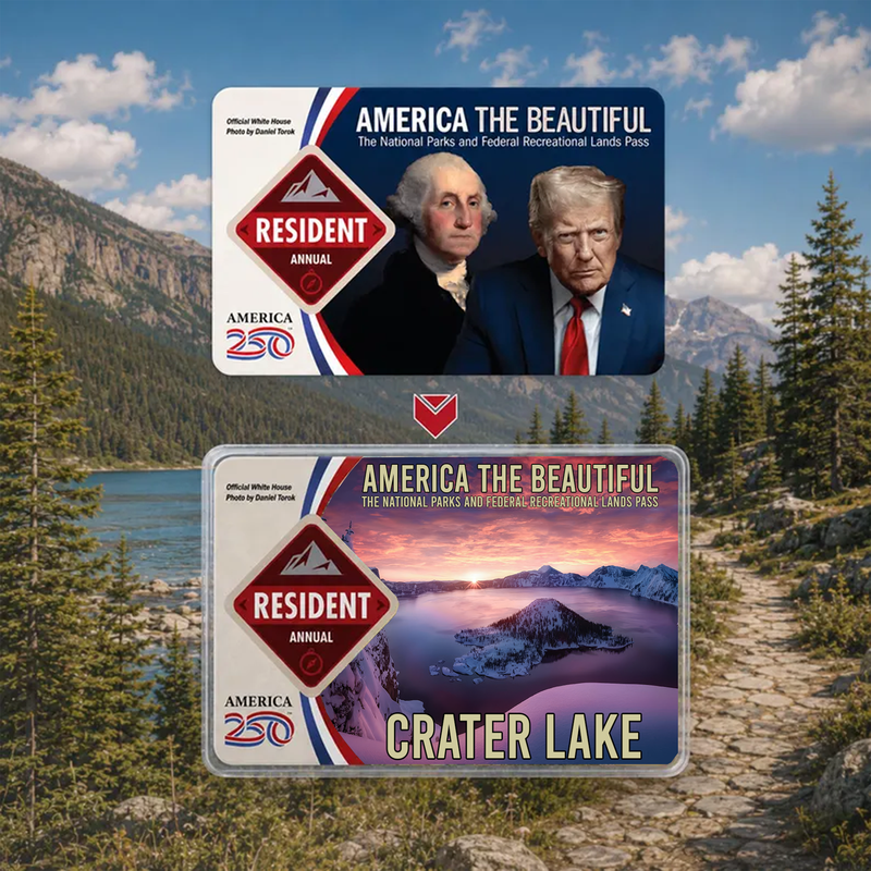 National Park Pass Sleeve - America The Beautiful Card Cover - Gift for Nature Lovers
