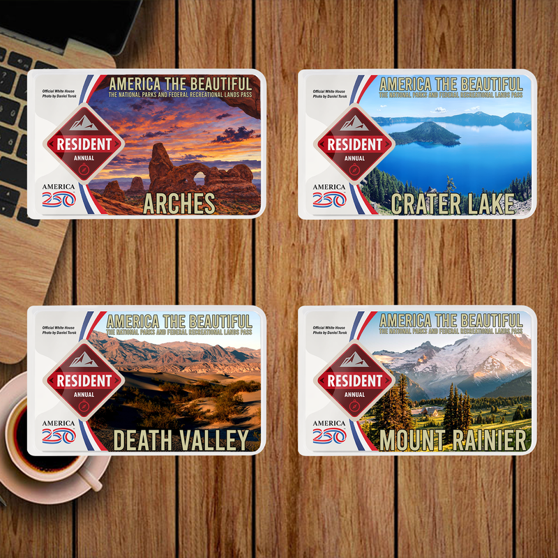 National Park Pass Sleeve - America The Beautiful Card Cover - Gift for Nature Lovers