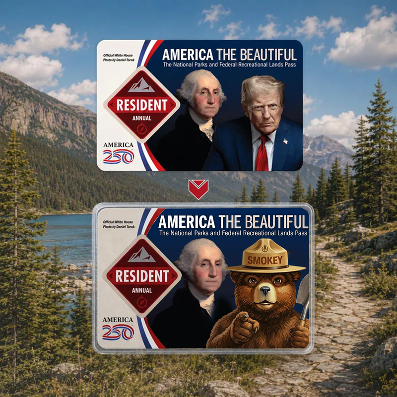 National Park Pass Sleeve Anti trump Smoke Bear Card - America The Beautiful Pass Protector - Protect Our Parks