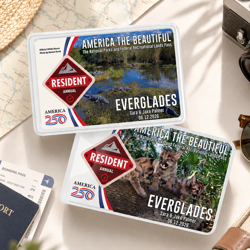 Everglades Card Sleeve - National Park Pass Sleeve - America The Beautiful Card Cover - Protect Our Parks