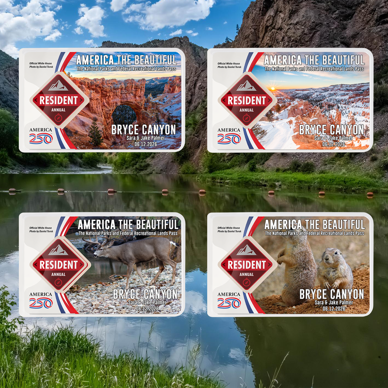 Bryce Canyon Card Sleeve National Park - America The Beautiful Pass Protector - Card Cover - Gift for Nature Lovers
