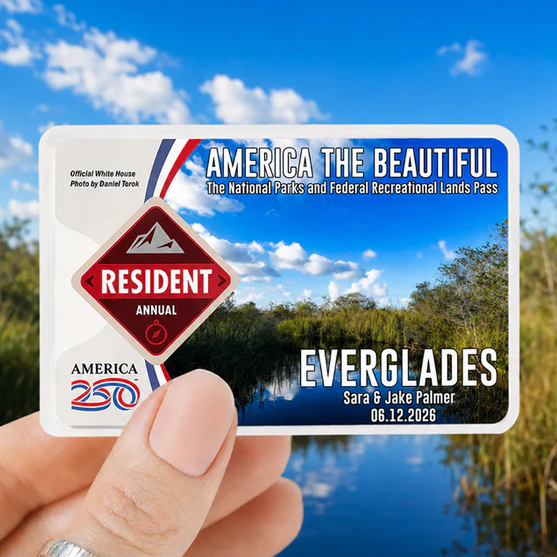 Everglades Card Sleeve - National Park Pass Sleeve - America The Beautiful Card Cover - Protect Our Parks