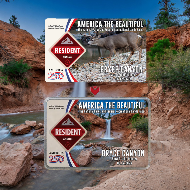 Bryce Canyon Card Sleeve National Park - America The Beautiful Pass Protector - Card Cover - Gift for Nature Lovers