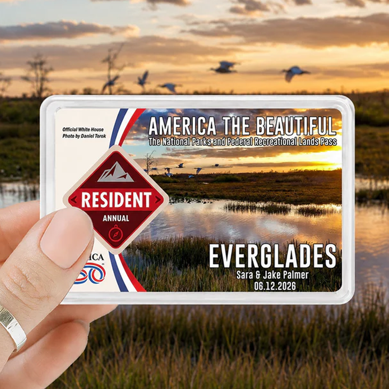 Everglades Card Sleeve - National Park Pass Sleeve - America The Beautiful Card Cover - Protect Our Parks